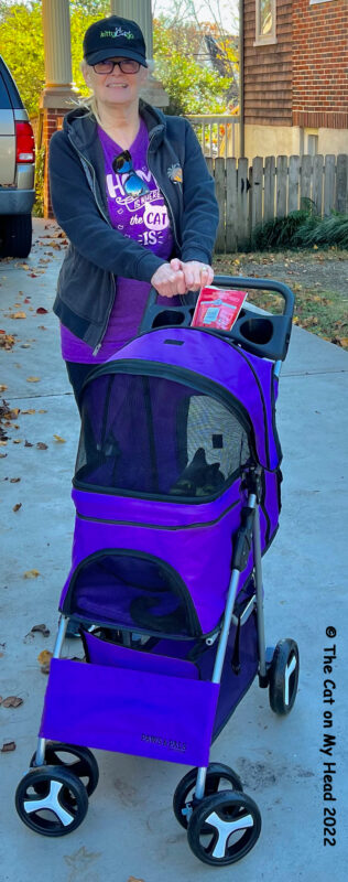 Woman wearing purple with a grey cat in a purple stroller.