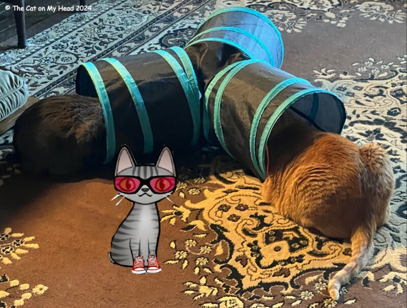 A three-way cat tunnel with a grey cat butt sticking out of one opening and an orange cat butt sticking out of another with a grey, cartoon, tabby cat in red tennis shoes looking on.