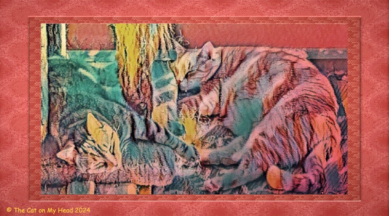 3500th post For our 3500th post we are sharing art of two kitties napping.