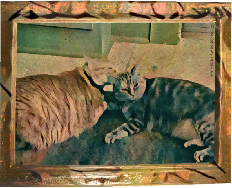 Caturday Art bathing: A ginger tabby cat is bathing a grey tabby cat in a photo that has been turned into an art piece.