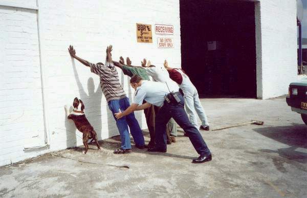 let's go walk: photo of four men and one dog leaning against a wall being frisked by a policeman.