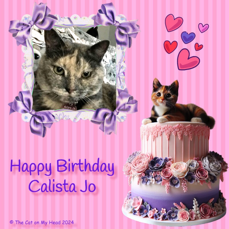 Birthday card with selfie of a dilute tortoise shell cat, three layer pink, white and purple cake with flowers and a calico cat topper, graphic hearts and the words, "Happy Birthday Calista Jo."