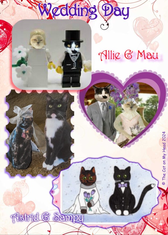 National Pet Wedding Week Four wedding photos of cats on a heart background.