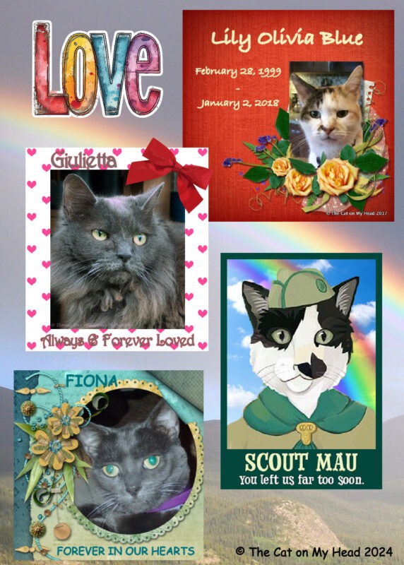 Periwinkle Stinky World Pet Memorial Day Periwinkle Stinky World Pet Memorial Day: Four cats on a Rainbow background with a LOVE sticker.
