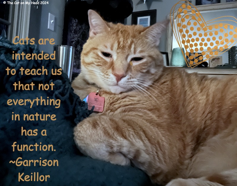 A ginger tabby cat with eyes partially close and the following quote from Garrison Keillor, "Cats are intended to teach us that not everything in nature has a function."