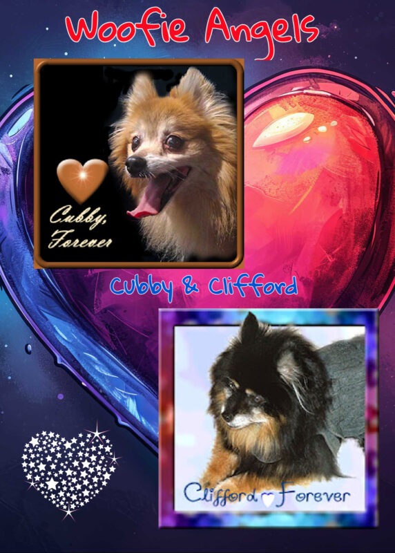 Periwinkle Stinky World Pet Memorial Day Periwinkle Stinky World Pet Memorial Day: Two dogs with a heart background.