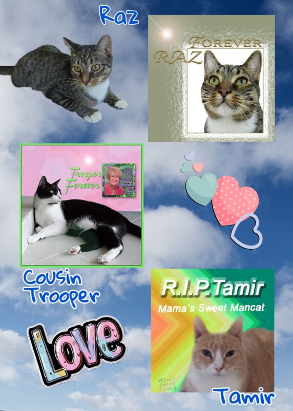 Periwinkle Stinky World Pet Memorial Day Periwinkle Stinky World Pet Memorial Day: Three cats on a cloud background with hearts and a LOVE sticker.