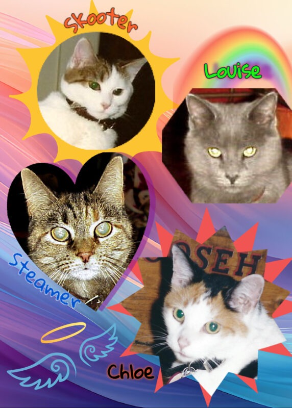 Periwinkle Stinky World Pet Memorial Day Four cats on a color gradient background a with a halo and angel wings, sun and rainbow stickers.