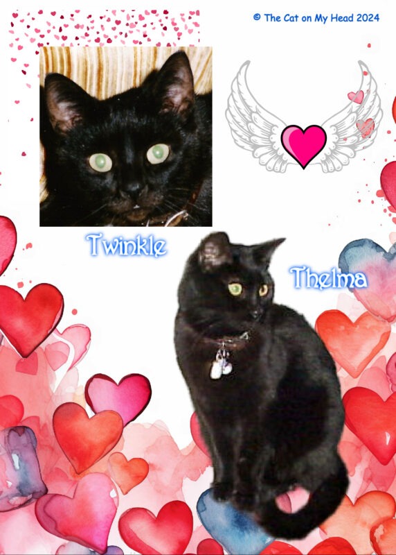 Periwinkle Stinky World Pet Memorial Day Periwinkle Stinky World Pet Memorial DayTwo black cats on a background of hearts with a heart with angel wings sticker.