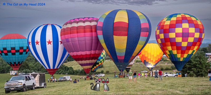 Night Glow Periwinkle & Stinky Night Glow Periwinkle & Stinky: Field with hot air balloons and two cartoon tabby cats.