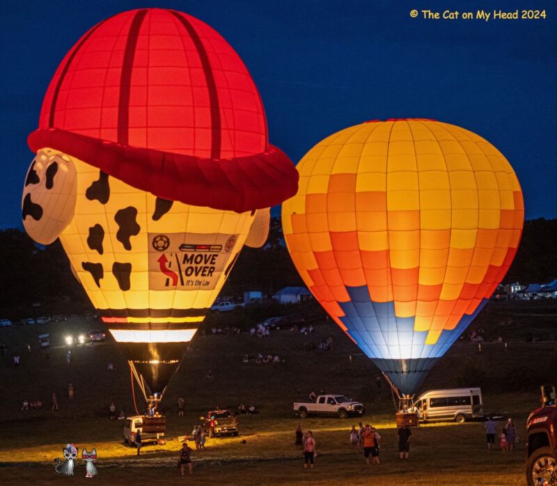 Night Glow Periwinkle & Stinky Night Glow Periwinkle & Stinky: Two glowing hot air balloons and two cartoon tabby cats.