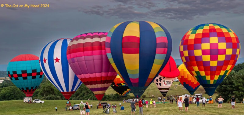 Night Glow Periwinkle & Stinky Night Glow Periwinkle & Stinky: Field with hot air balloons. and two cartoon tabby cats.