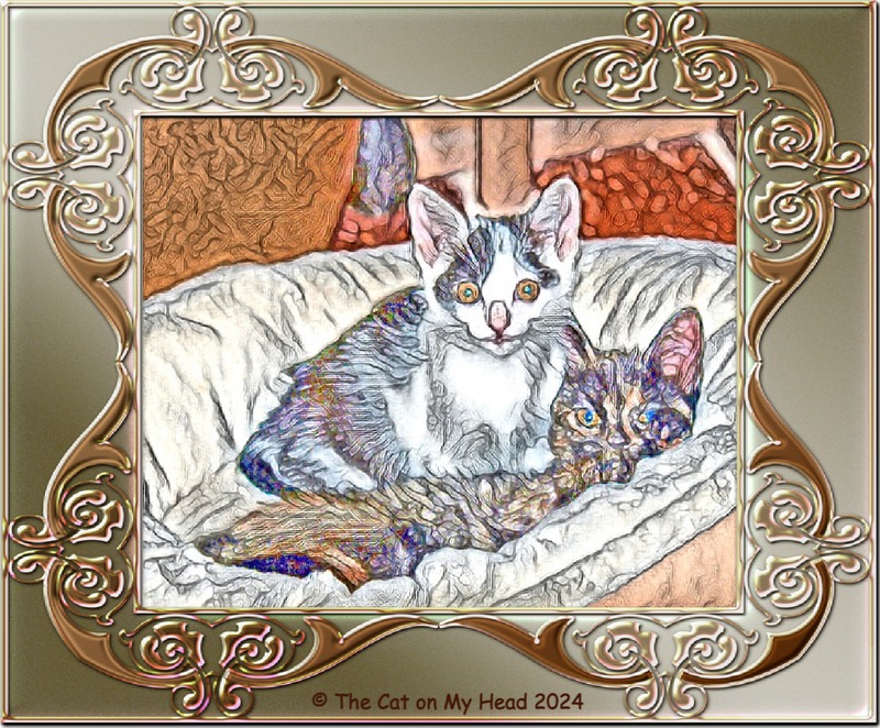 Caturday birthday art Two cuddling kittens (a tuxie and a tortie) in an art rendering in an ornate frame.
