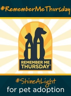  #RememberMeThursday badge.