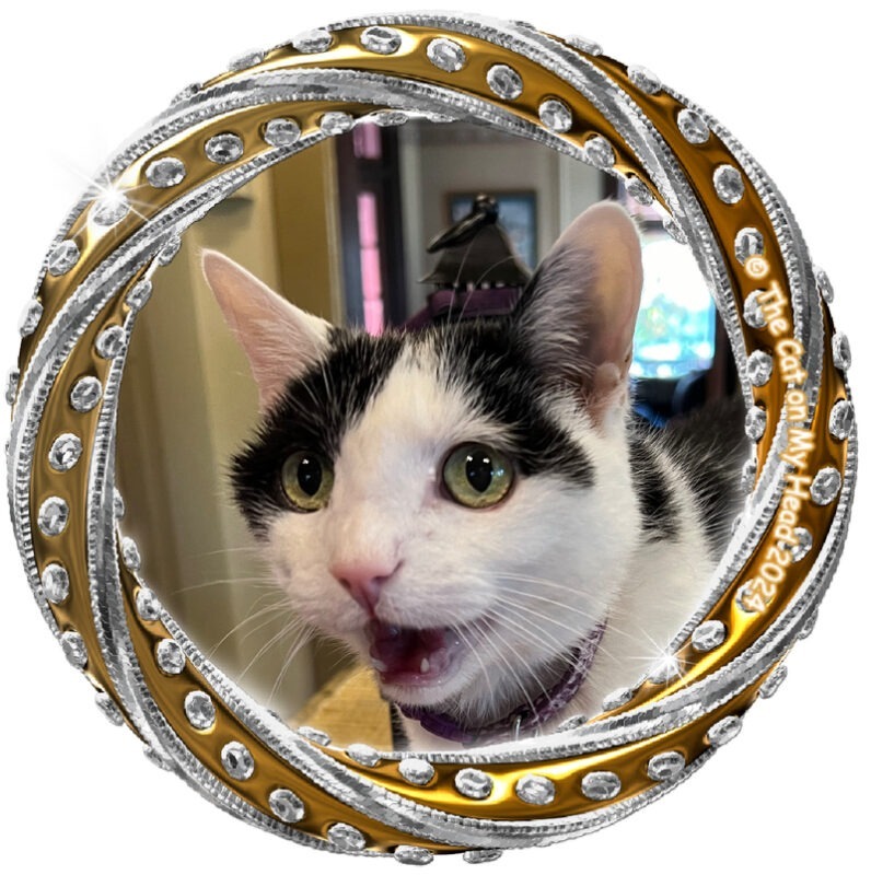 Selfie of a green-eyed, black and white cat with her mouth open in a gold and silver circular frame with crystals on International Cat Day.