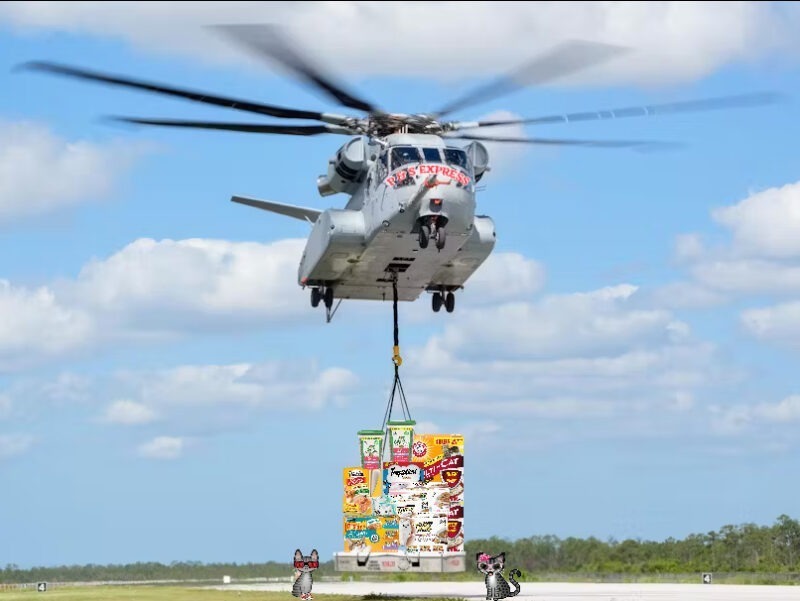 Large helicopter with a pallet of cat supplies and two cartoon tabby cats.