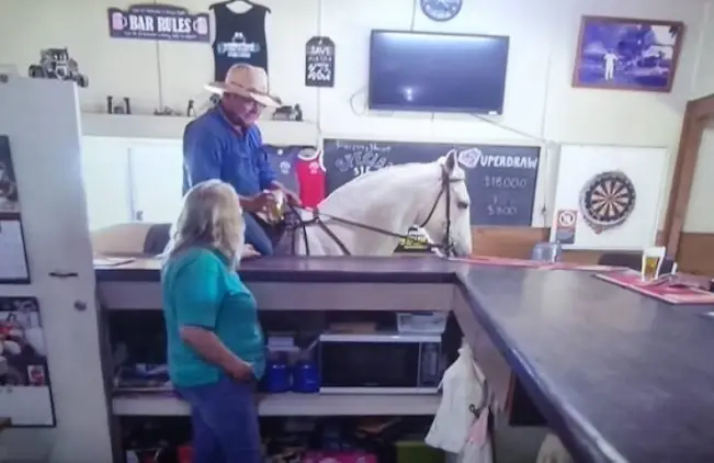 breakfast for two thankfuls: Restaurant with a man on a white horse at the counter talking to a woman behind the counter.
