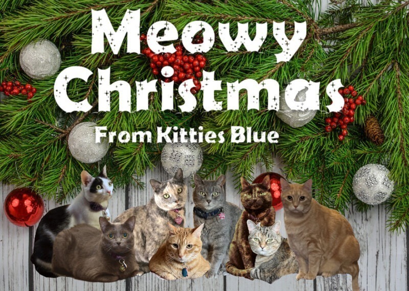 Happy Holidays: Meowy Christmas Card from Kitties Blue featuring eight cats.