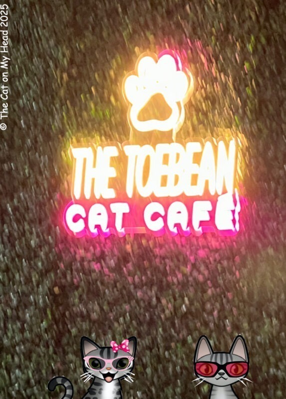 Periwinkle Stinky Toebean Cat Cafe Two cartoon tabby cats in front of a faux grass wall with a neon sign: The Toebean Cat Cafe.