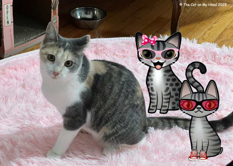 Periwinkle Stinky Toebean Cat Cafe Two cartoon tabby cats with a real dilute and white torbie cat sitting on a fuzzy pink rug.