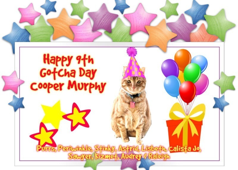 Gotcha Day Cake Gotcha Day card with an orange tabby cat.