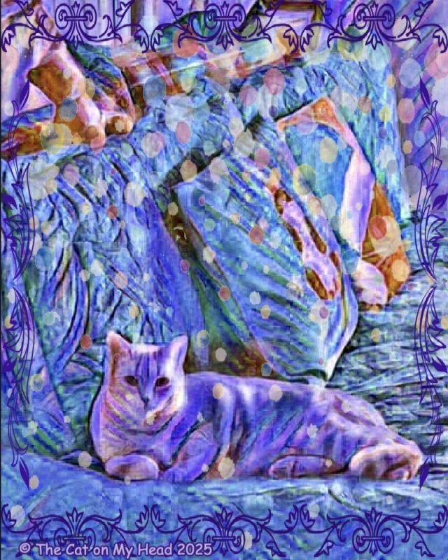 furry blur A tabby cat lying on a bed is a furry blur in an art creation in blues and purples with an overlay of multicolored dots.