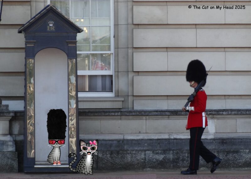 Periwinkle Stinky London Tea for Two Tuesday Two cartoon tabby cats with one of the King's Guards at Buckingham Palace in London.
