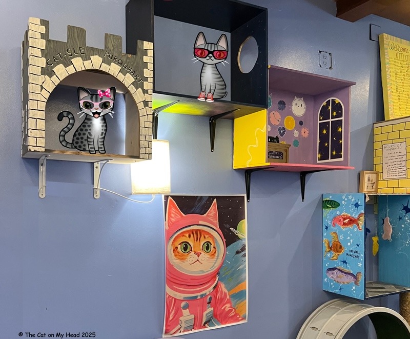 Kitty City Cat Cafe Two tabby cats in decorated and painted cat cubby holes on the wall of Kitty City Cat Cafe.