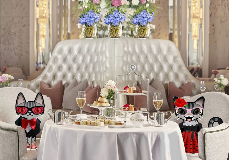 Periwinkle Stinky London Tea for Two Tuesday Two formally dressed tabby cats enjoying high tea in London on Tea for Two Tuesday.