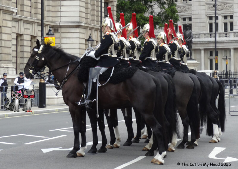 Periwinkle Stinky London Tea for Two Tuesday Members of the Horse Guard in London lined up in formation while two cartoon tabby cats look on.