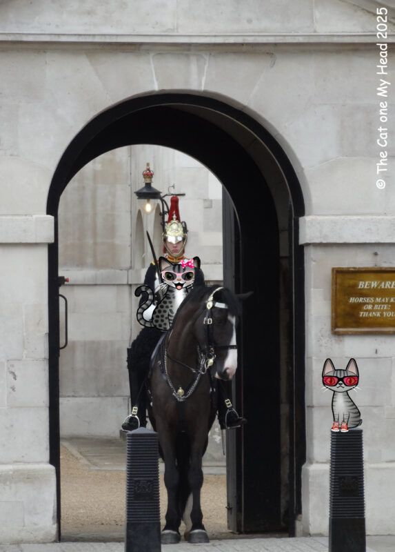 Periwinkle Stinky London Tea for Two Tuesday Tabby cat riding with one of the The Blues and Royals of the Horse Guard in London while another tabby cat looks on.