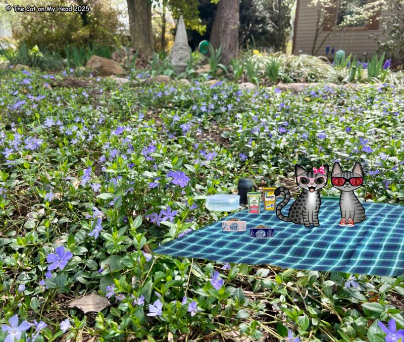 field or periwinkles Two cartoon tabby cats on a blue plant blanket having a picnic in a field of periwinkles.
