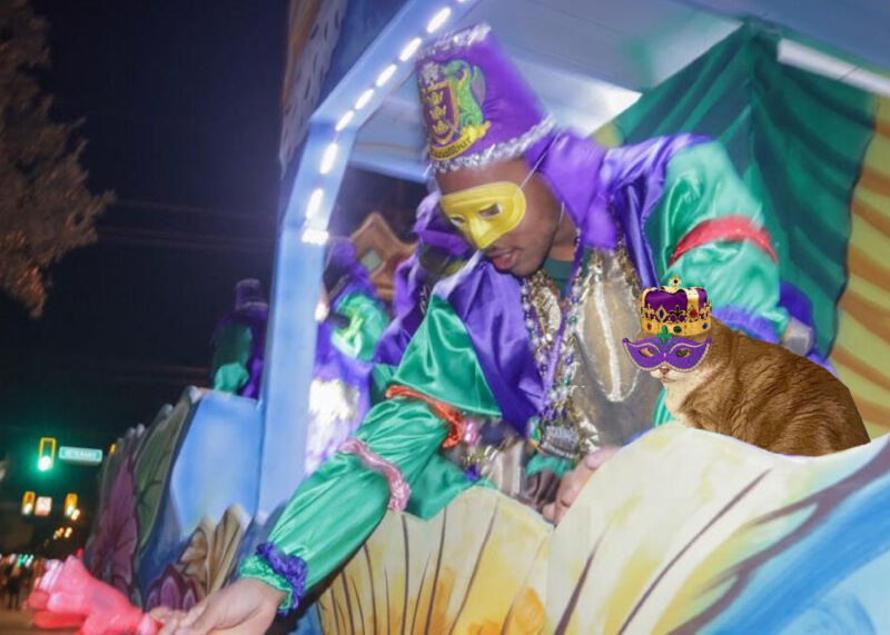 Periwinkle Stinky Mardi Gras A ginger tabby cat in a Mardi Gras mask and king's crown on a Krewe Excalibur float.