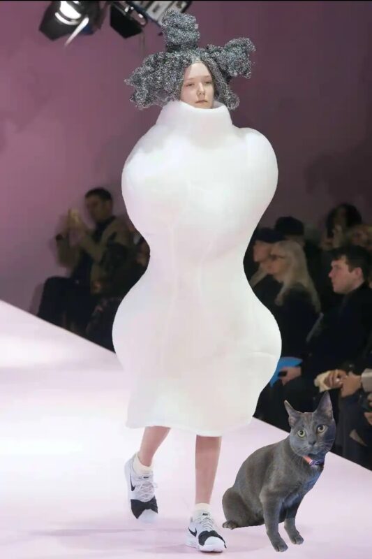 thankfuls on the catwalk Model in a ridiculous outfit and Brillo-pad hair with a grey cat on the catwalk.