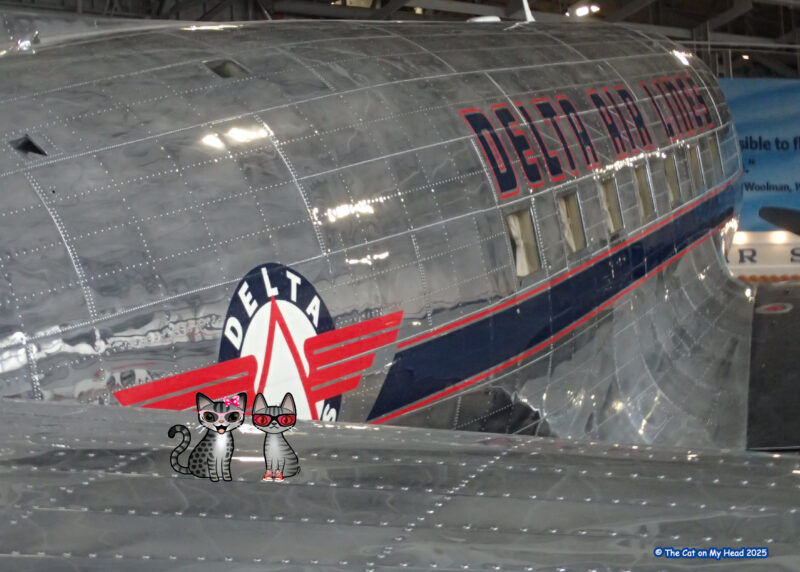 Periwinkle Stinky Delta Flight Museum Douglas DC-3 aircraft with two cartoon tabby cats on the wing at the Delta Flight Museum.