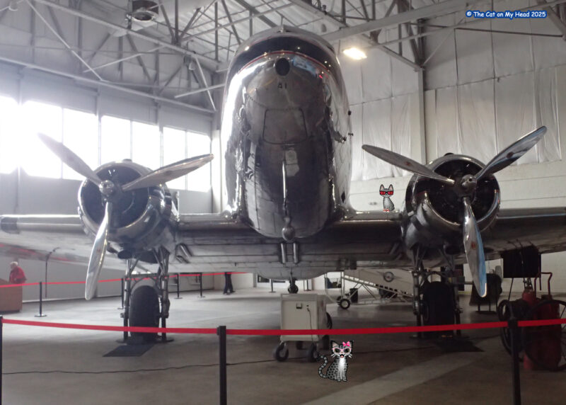 Periwinkle Stinky Delta Flight Museum Douglas DC-3 aircraft with two cartoon tabby cats at the Delta Flight Museum.