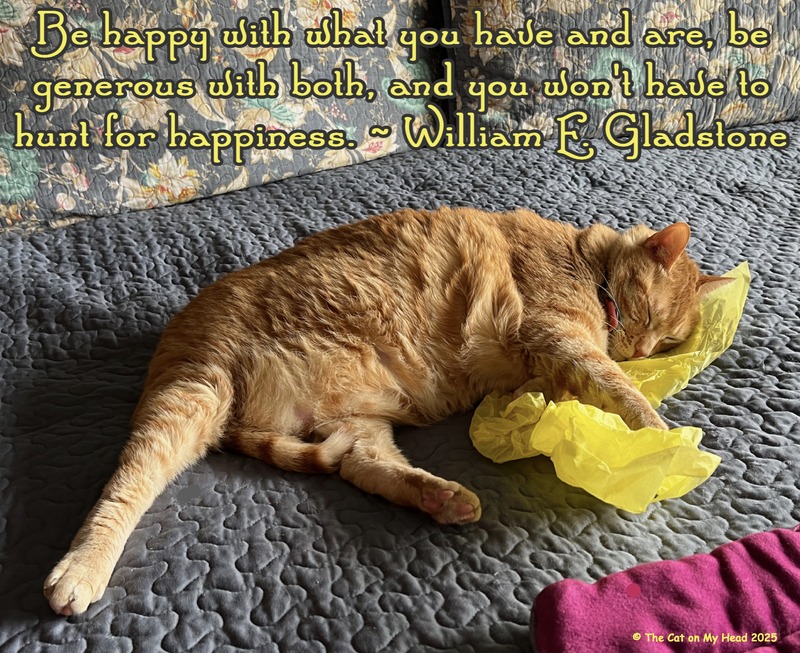 Happiness Spark Happiness Spark: A large ginger tabby cat sleeping atop yellow tissue paper.