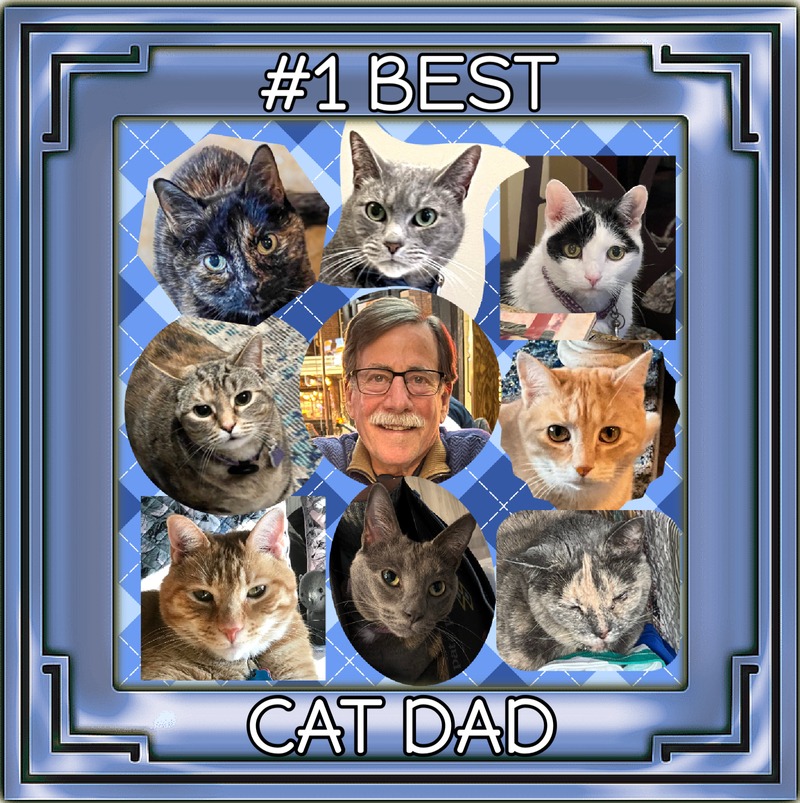 A collage with eight cats and one man on a blue plaid background with a blue frame and the words, "#1 Best Cat Dad," to celebrate Father's Day 2025.