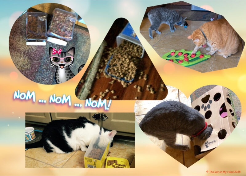 Periwinkle Stinky Cat World Domination: Collage of cats enjoy treats and treat puzzles.