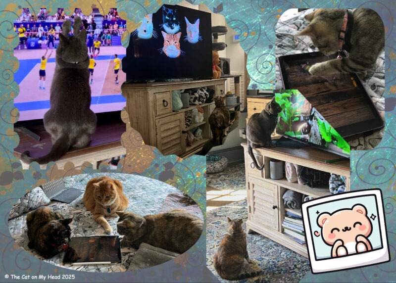 Periwinkle Stinky Cat World Domination: Collage of cats watching TV and playing on an iPad.