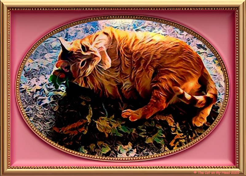 Large ginger cat gnarling on nip and getting up to some nonsense in art framed in pink and gold.