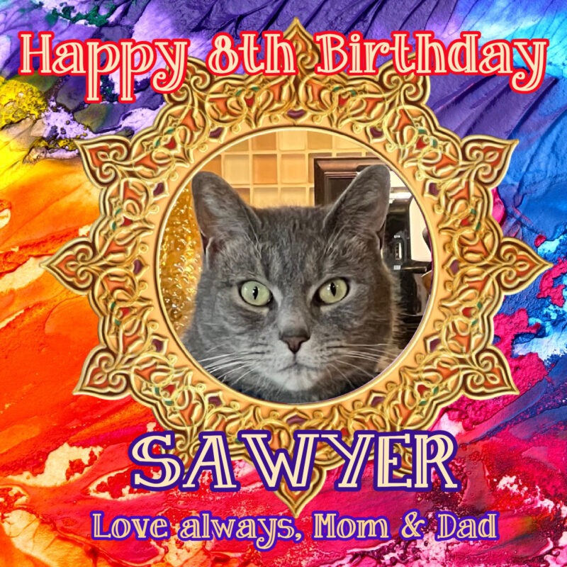 A birthday card with a photo of a grey tabby cat, Sawyer, who turns eight today.