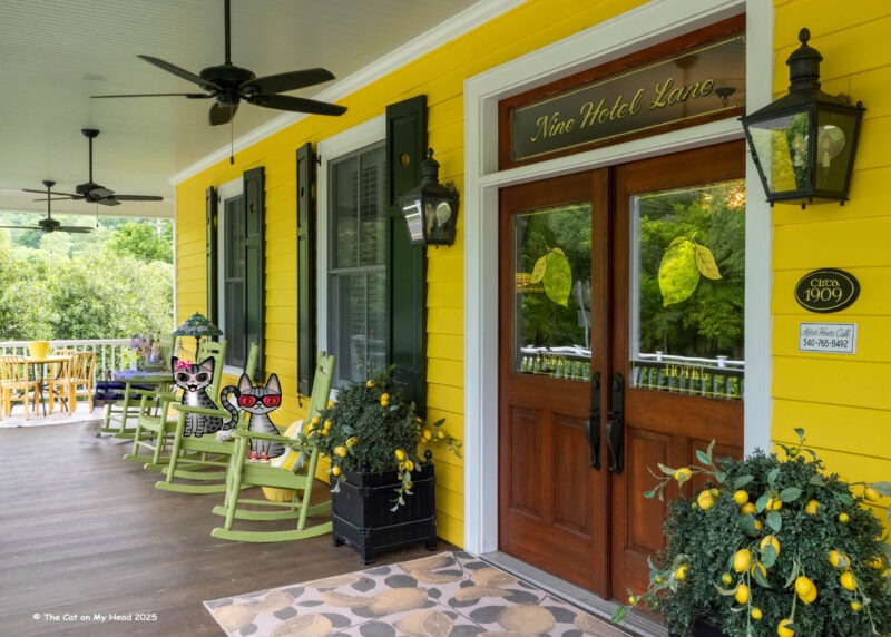 Two cartoon tabbies cats, Periwinkle & Stinky, on the front porch of the Lemon Hotel.
