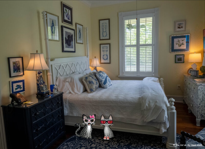 Two cartoon tabbies cats, Periwinkle Stinky, in the bedroom of the Blueberry Suite at The Lemon Hotel.