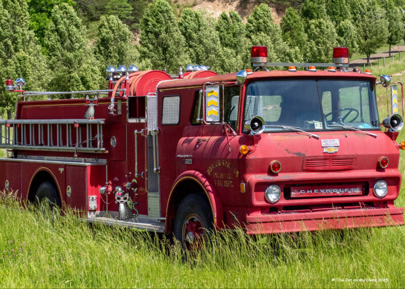 Two cartoon tabbies cats, Periwinkle Stinky, on an old fire engine in a field in Paint Bank, Va.