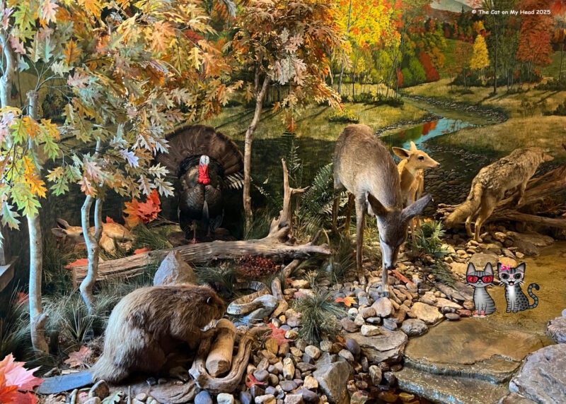 Two cartoon tabbies cats, Periwinkle & Stinky, viewing a diorama at the Paint Bank General Store.