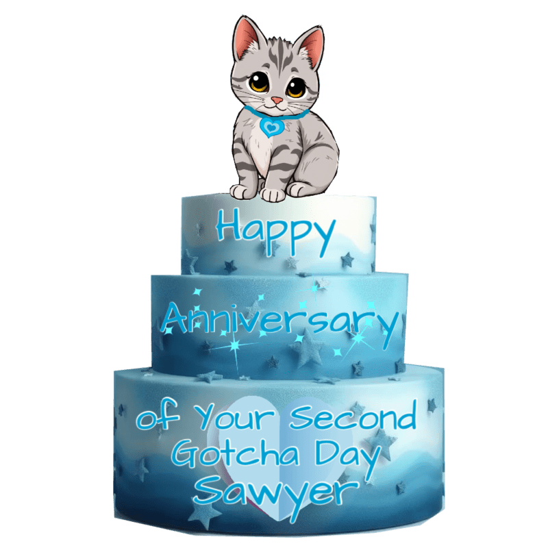 Gotcha Day Anniversary cake with three tiers, stars and a grey tabby cat on the top.