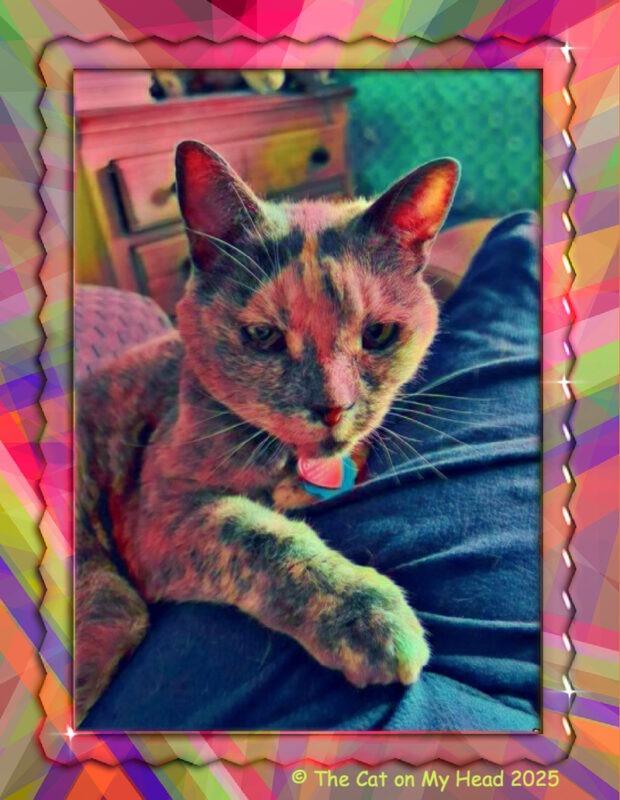 rainbow lap cat A dilute tortoise shell cat sitting in a human's lap in a rainbow art rendering.