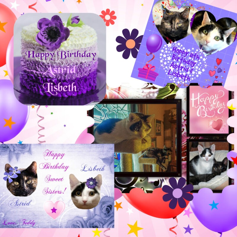 Periwinkle Stinky birthday Birthday scrapbook page for a tortoise shell cat, Astrid, and a black and white cat, Lisbeth.
