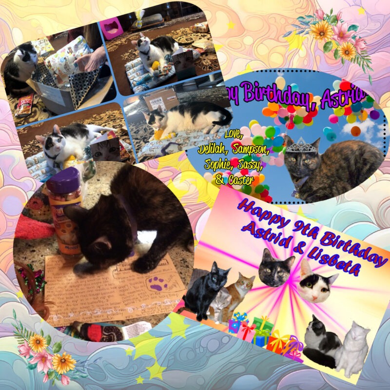 Periwinkle Stinky birthday Birthday scrapbook page for a tortoise shell cat, Astrid, and a black and white cat, Lisbeth.